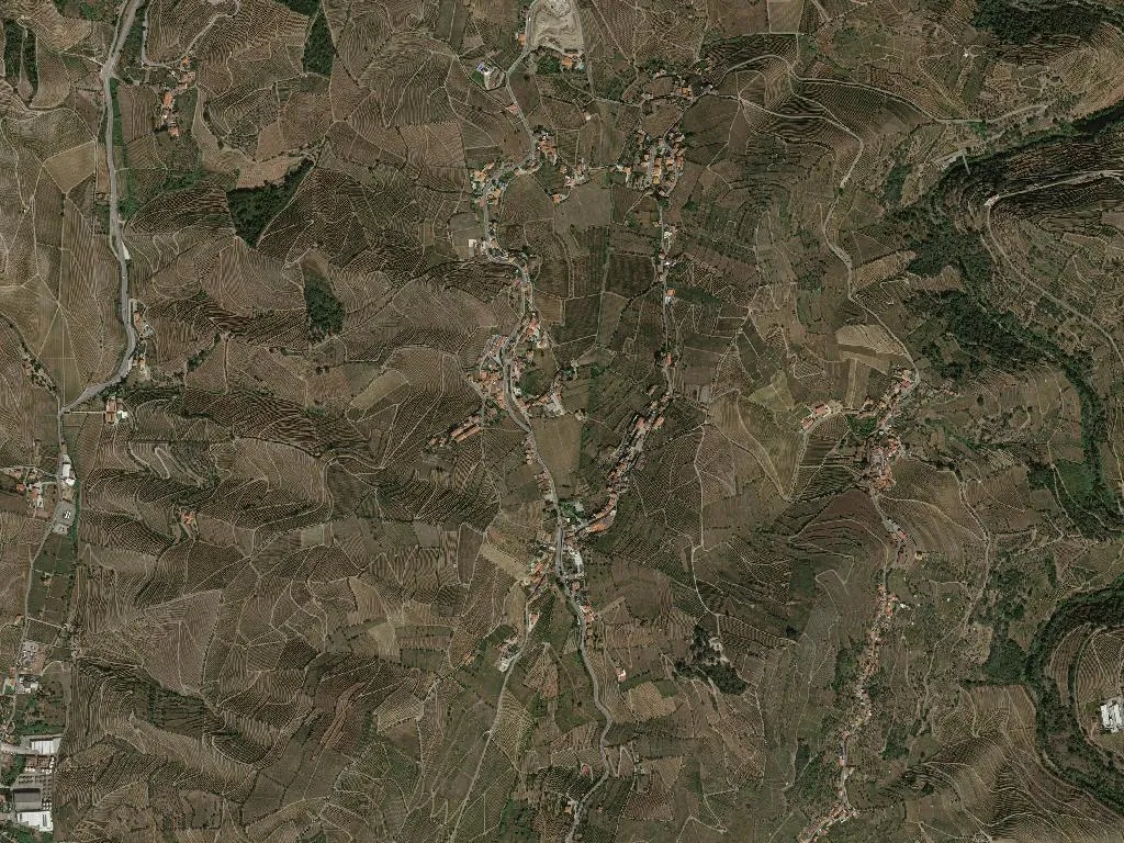 Lobrigos (São João Baptista)