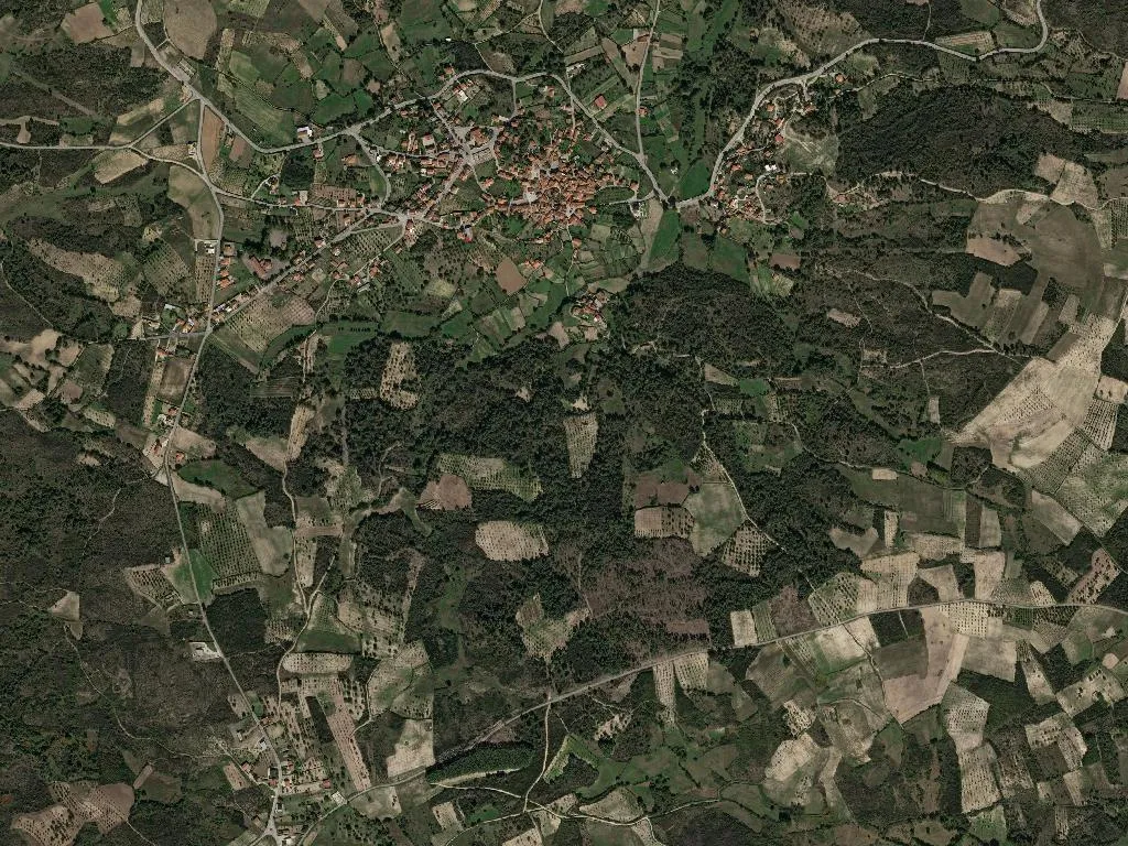 Lebução, Fiães e Nozelos