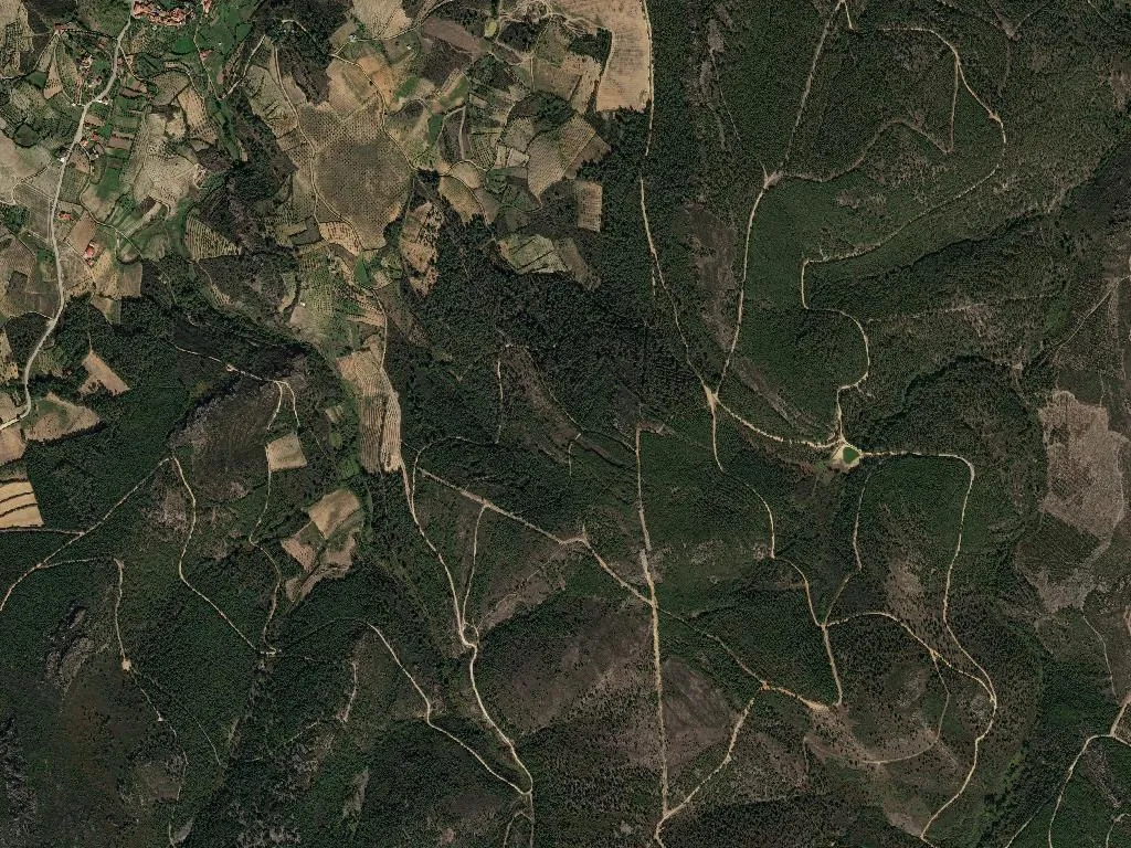 São Pedro de Veiga de Lila