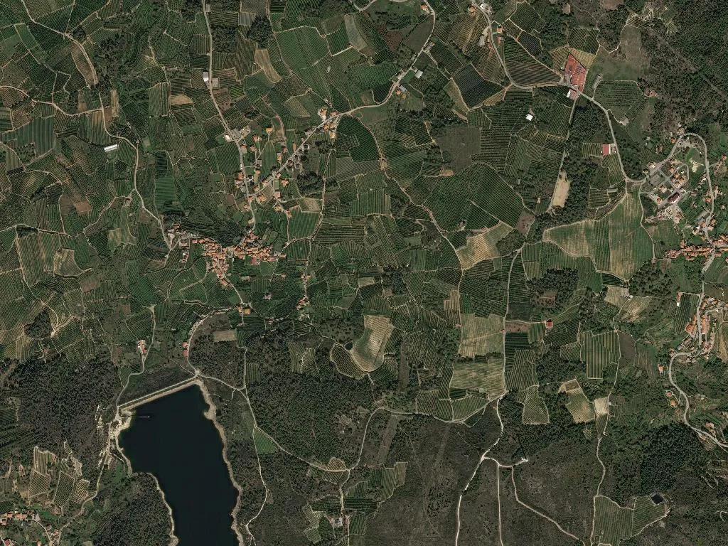 São Martinho das Chãs