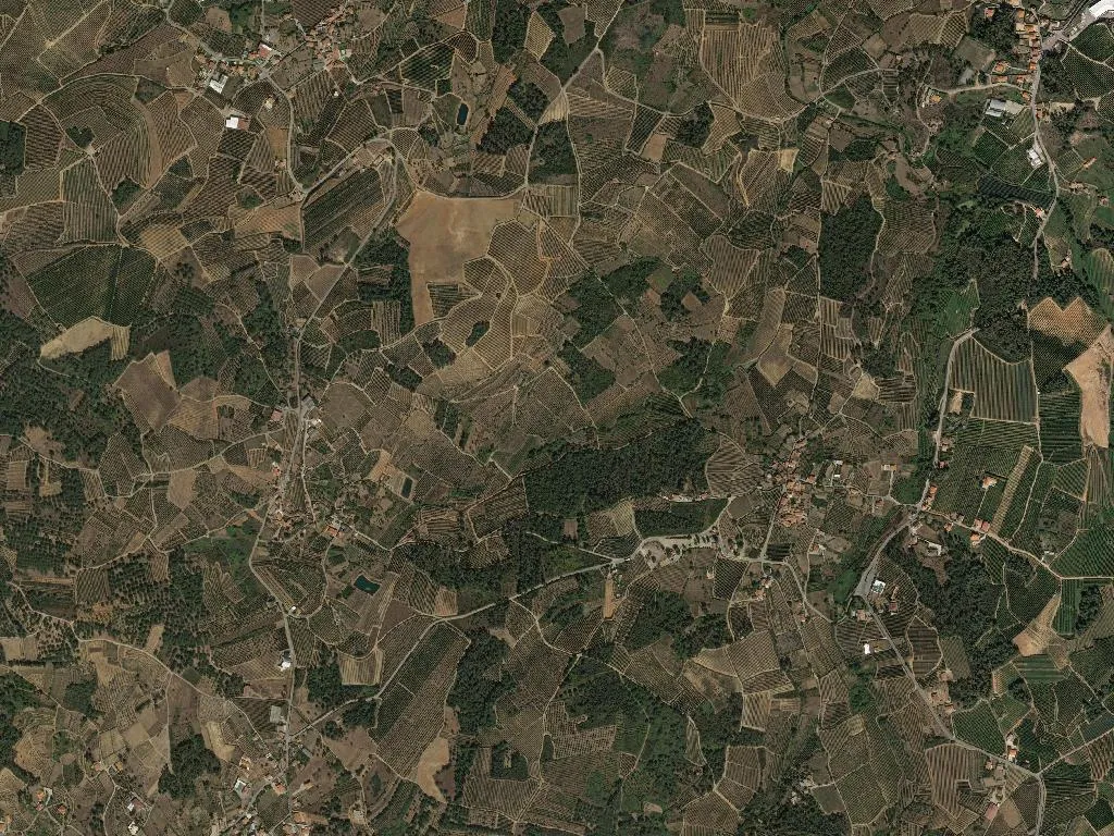 União das freguesias de São Romão e Santiago