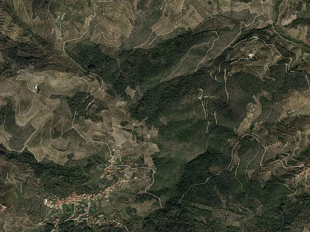 União das freguesias de Vila Seca e Santo Adrião