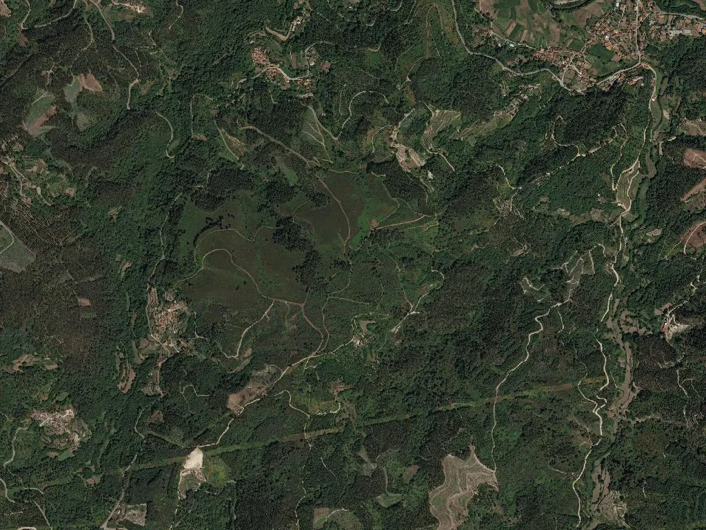 União das freguesias de Reriz e Gafanhão