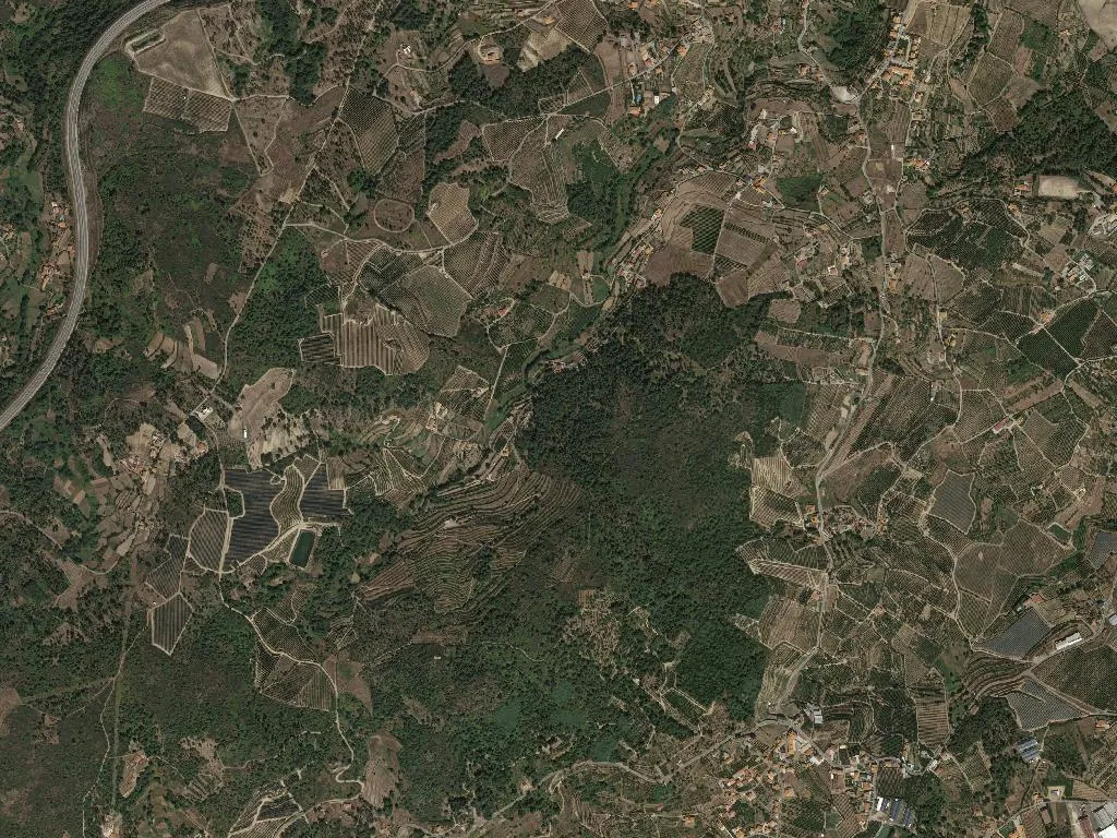 União das freguesias de Cepões, Meijinhos e Melcões