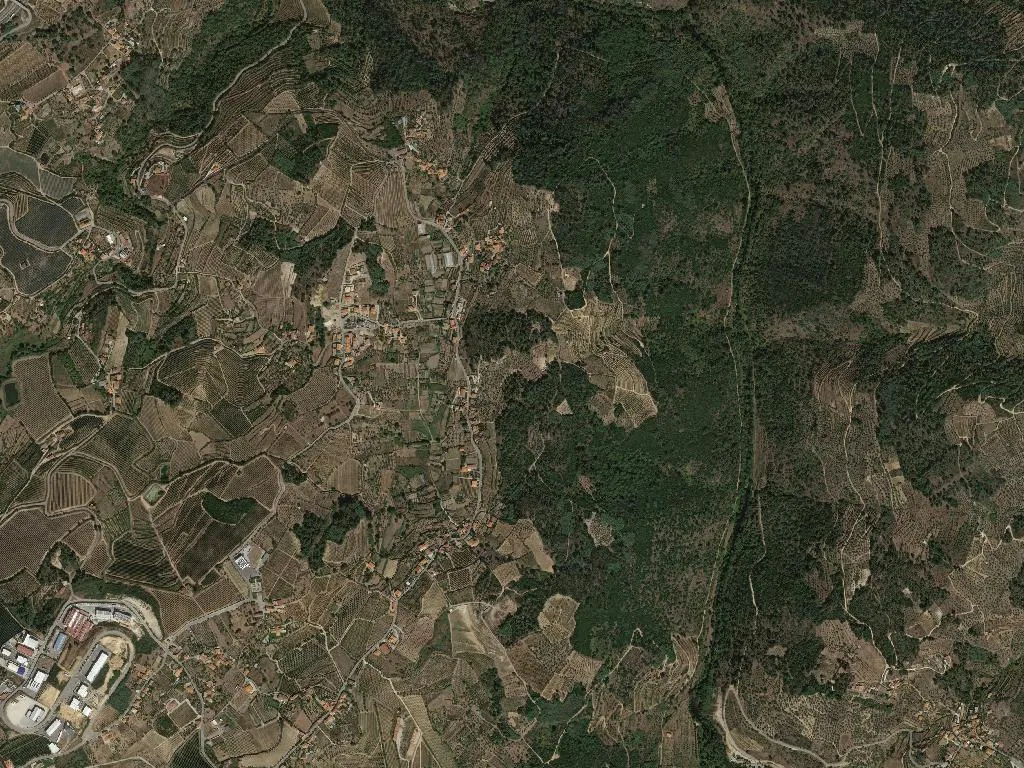 Várzea de Abrunhais