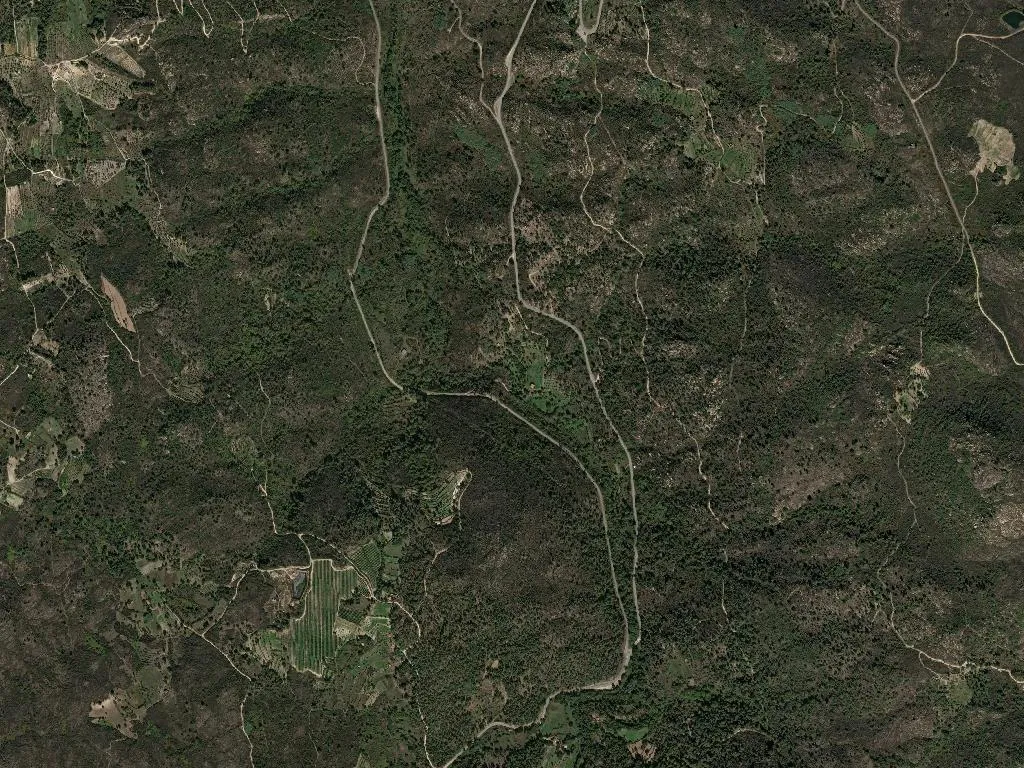 União das freguesias de Paradinha e Nagosa