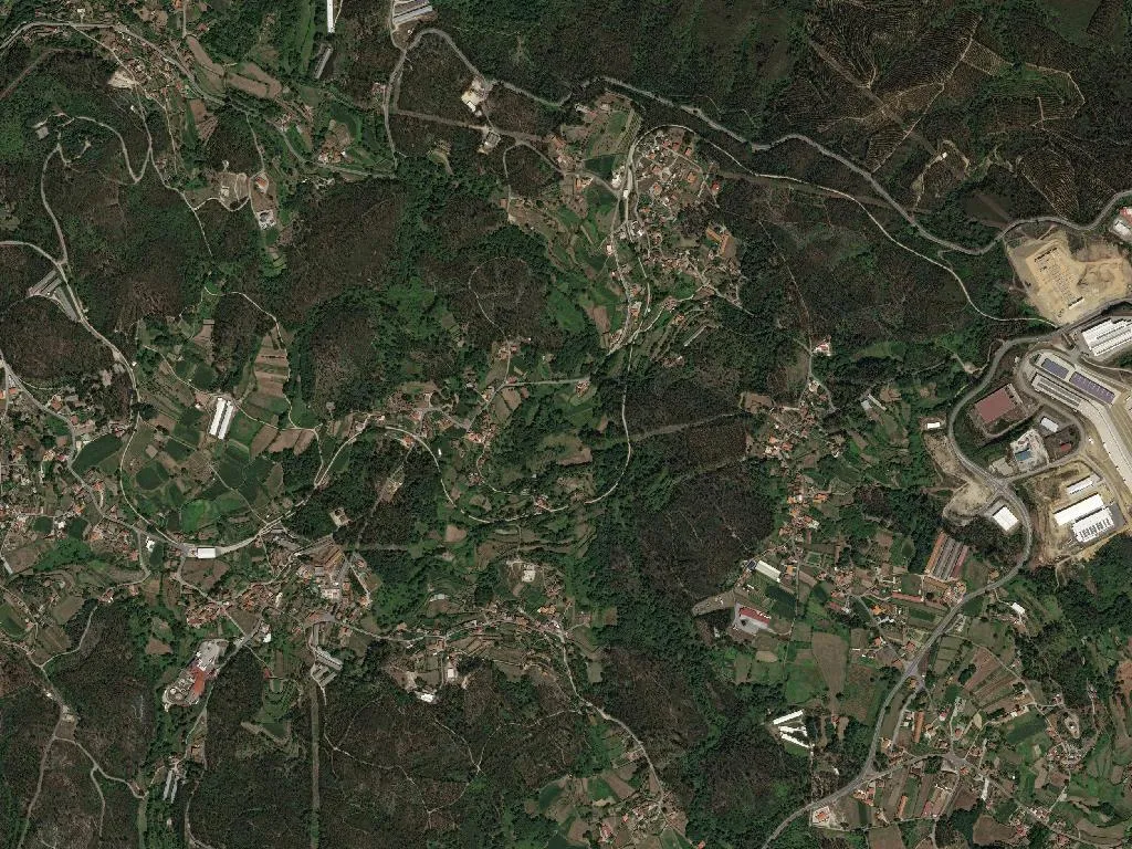 São Vicente de Lafões