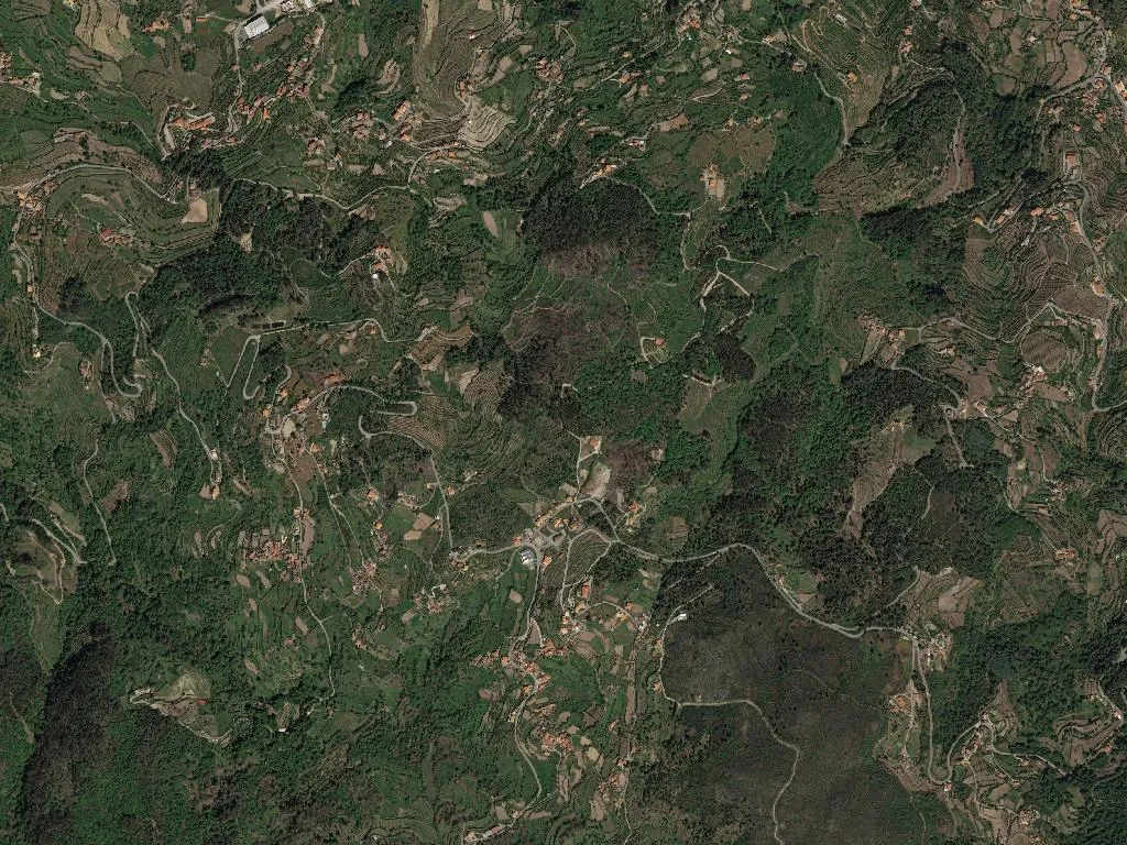 União das freguesias de Anreade e São Romão de Aregos