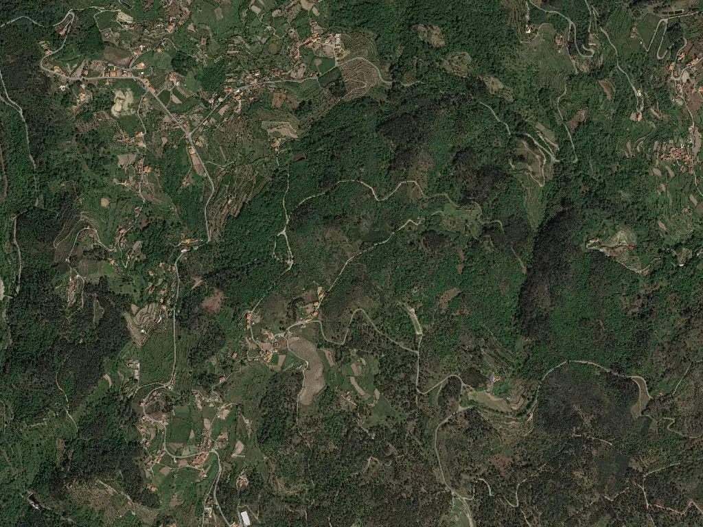 União das freguesias de Freigil e Miomães