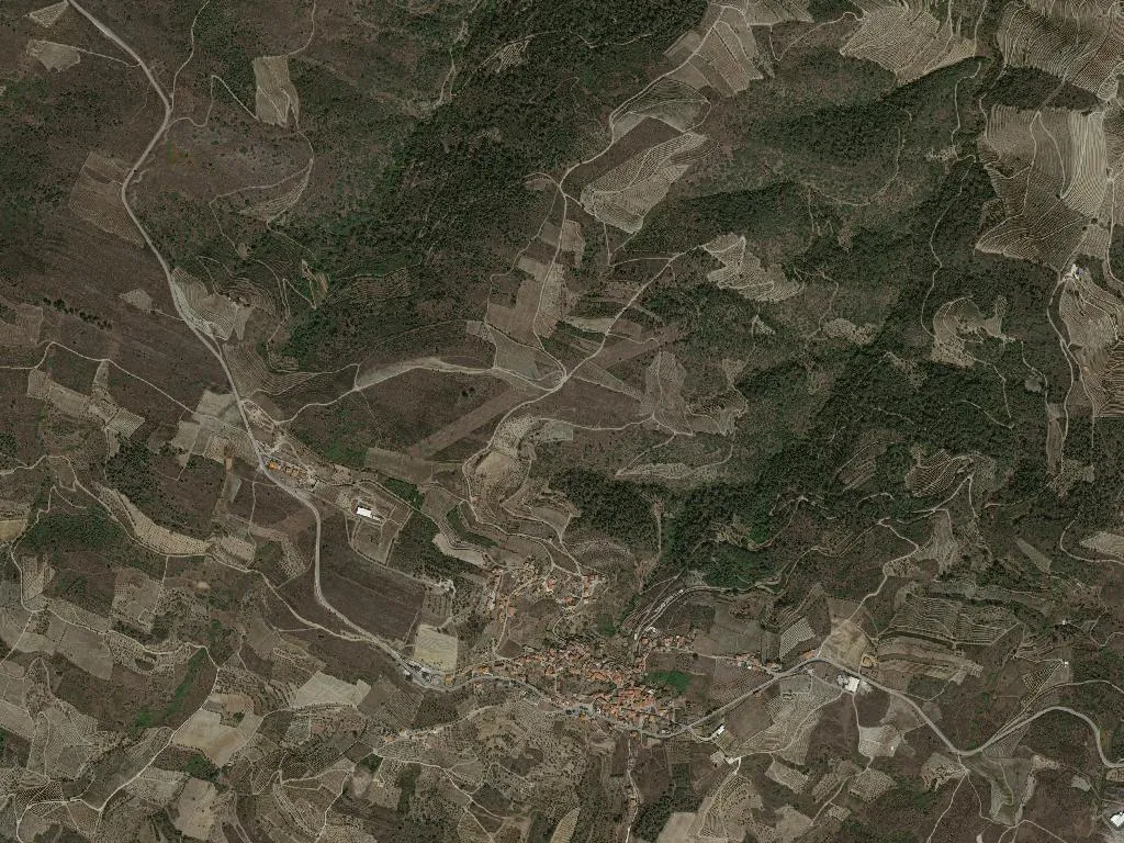 São João da Pesqueira