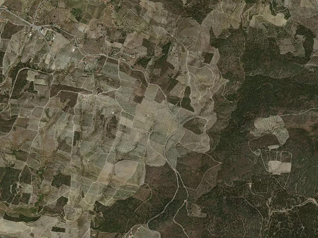 União das freguesias de Vilarouco e Pereiros