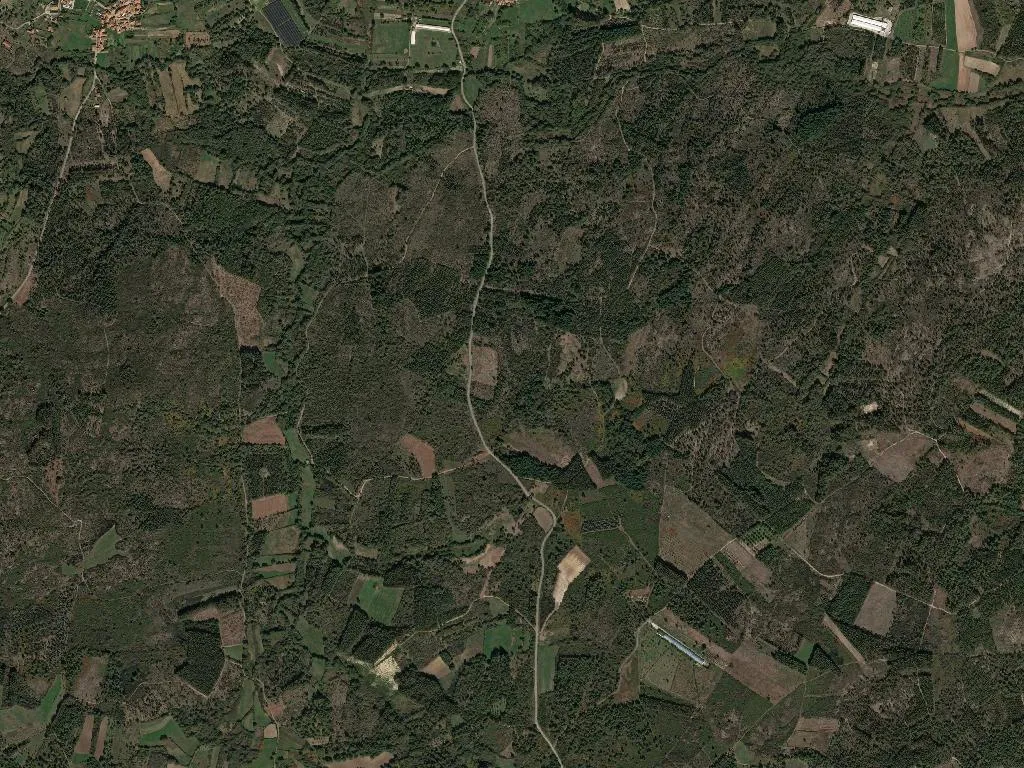 União das freguesias de Águas Boas e Forles