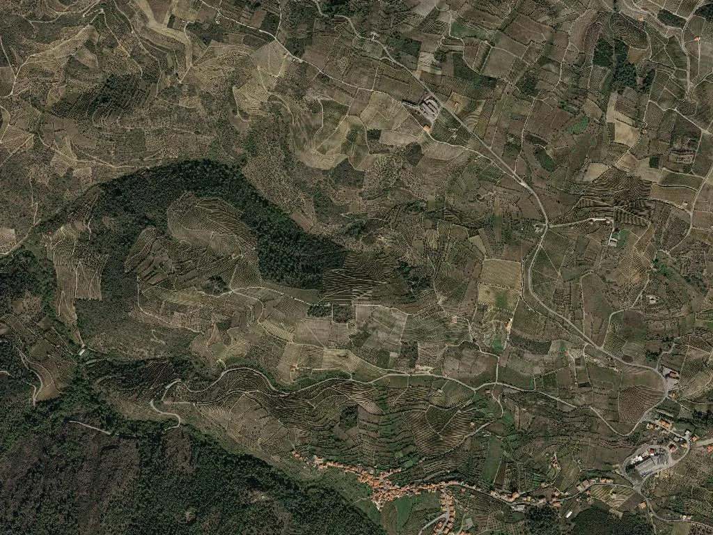 União das freguesias de Barcos e Santa Leocádia