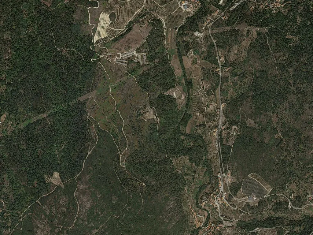 São João de Tarouca