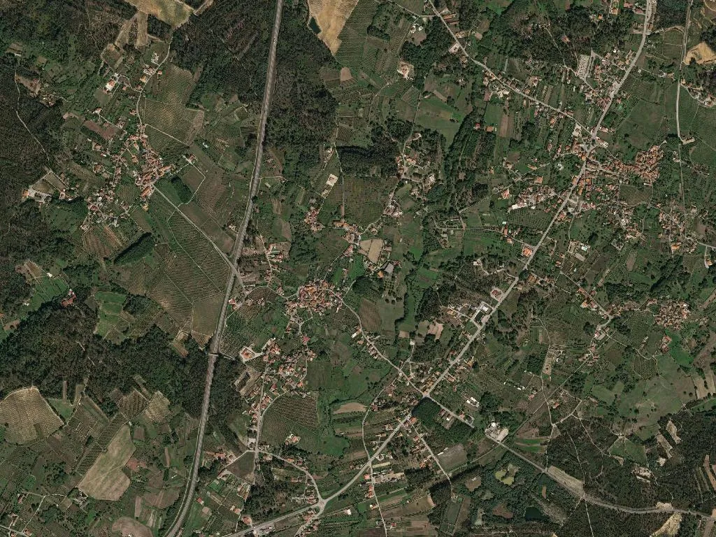 Canas de Santa Maria